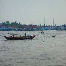 Selama SEA Games XXVI, Sungai Musi Harus Bersih dari Eceng Gondok