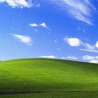 Cerita di Balik Ketenaran Wallpaper Windows XP 