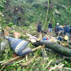 Proses Evakuasi Korban Pohon Tumbang Makan Waktu Tiga Jam