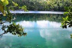 Kerajaan Ubur-ubur di Togean