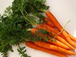 Wortel Bisa Mencegah Penuaan Dini