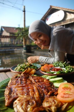warung tengah sawah