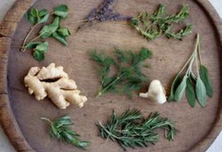 Baru Ada 6 Jenis Jamu yang Sudah Lulus Uji Klinis