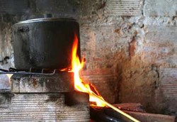 Asap Kayu Bakar Pengaruhi Risiko Pneumonia dan Penurunan IQ