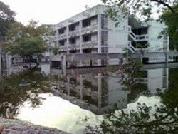  Banjir Besar di Bangkok Mulai Surut, Pemburu Ular pun Sibuk