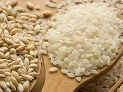 Beras Impor Asal AS Masuk RI Sebagai Beras Khusus