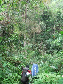Mosso, Titik Nol Pendakian Gunung Biniaya