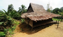 Rumah Adat Suku Alifuru Selaras Dengan Alam
