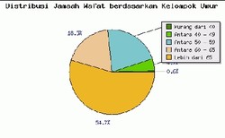 Jamaah Haji Wafat di Saudi 362 Orang