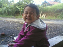 pangandaran dan monyet