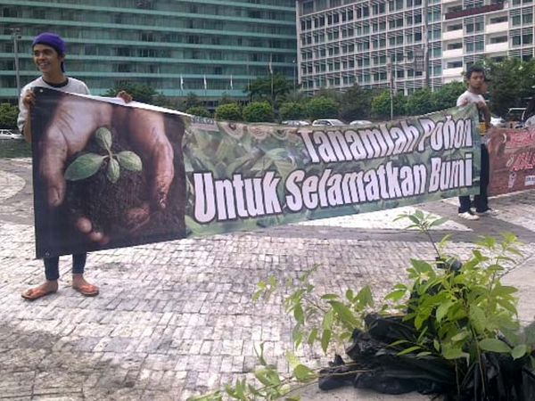 Usut Tuntas Pembantaian Orang Utan