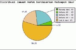 Jamaah Haji Wafat 380 Orang
