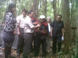 Menhut: Jika Ada Pembantaian Orang Utan Silakan Laporkan