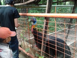 HAPPY HOLIDAY KE KEBUN BINATANG