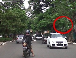 Rambu Lalu Lintas Tertutup Pohon, Pengguna Jalan Bingung