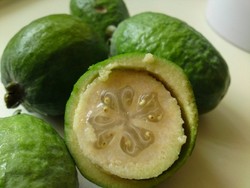 Feijoa, Jambu Biji Isi Jelly