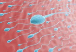 Musuh Sperma: Rokok, Alkohol, Daging Merah, Berendam Air Panas