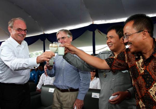 Peternak Sapi Perah Syukuran