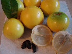 Sawo Australia yang Manis Segar