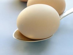 Sarapan Yoghurt dan Telur Bikin Tubuh Ramping