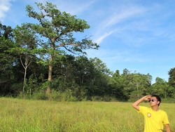 Sekilas Taman Nasional Rawa Aopa Watumohai