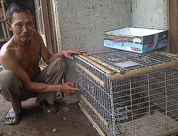 Sanca 3,5 Meter Ditemukan di Atap Rumah Warga