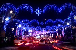 Blooms in Singapore, Natal dengan Pesta Lampu