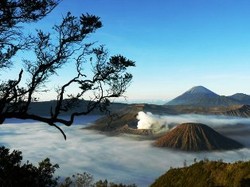 [25-27 November 2011] BROMO - IJEN VOLCANO TRIP