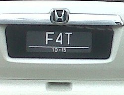 Lucu! Ragam Nomor Polisi Nyentrik