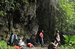 Menerabas Rimbunan Daun Pulus