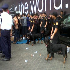 Anjing Pelacak Dikerahkan Tenangkan Pengantre BB Diskonan