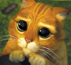 Puss in Boots Siap Beraksi di Android