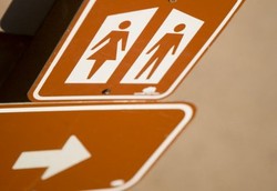 Bakteri di Toilet Pria Berbeda dengan di Toilet Wanita