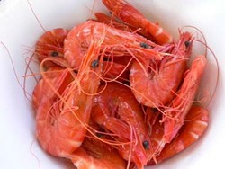 Buat Yang Berdiet, Inilah Makanan Rendah Kalori! (1)