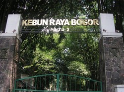 Asyiknya Jalan-jalan di Kebun Raya Bogor