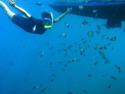 8 Tips Untuk Snorkeling yang Asyik