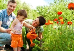 Kurangnya Taman Bikin Kadar Stres Orang Jakarta Tinggi