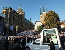 Tidak Pakai Sabuk Pengaman, Paus Terancam Ditilang