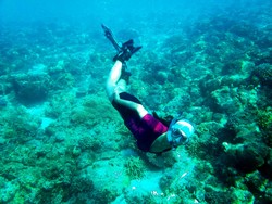 Indahnya Bawah Laut Pantai Baolang, Pulau pantar