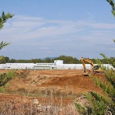 Apple Buka Lahan Penghasil Tenaga Matahari