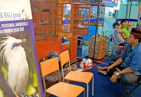 Ratusan Hewan Meriahkan IPPAE 2011