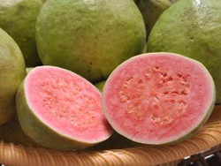 Jambu Picu Gairah Seks dan Produksi Sperma