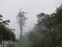 Clipeata dan Goa Walet di Atas Bukit Kelam
