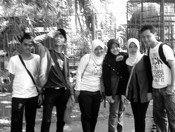 refresh