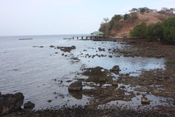 Tetangganya Torowamba: Torotengge