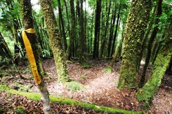 Menapaki Jalur Pendakian Binaiya