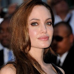 Angelina Jolie Dituduh Plagiat