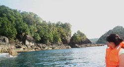 melihat lumba lumba di alam bebas