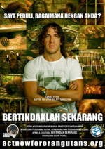 Nasib Orangutan Dapat Perhatian dari Puyol