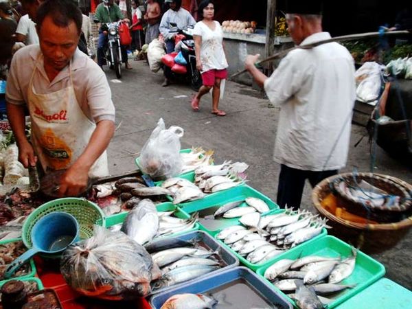 Impor Ikan Akan Diperketat